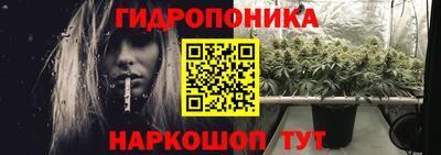 кокс Боровичи
