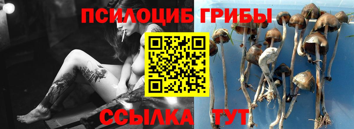 Галлюциногенные грибы GOLDEN TEACHER Ишимбай